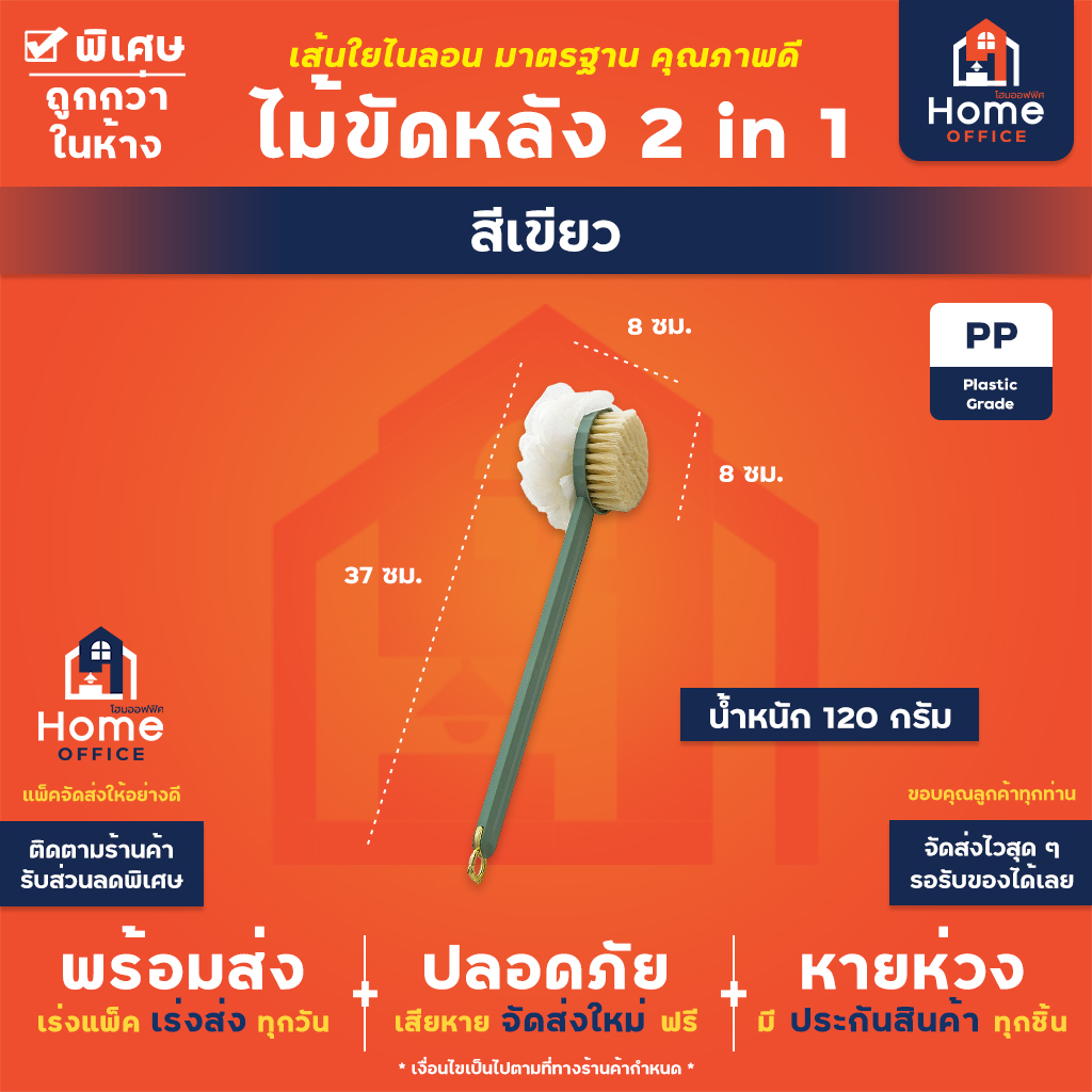 ไม้ขัดหลัง 2 in 1 (พลาสติก PP) เส้นใยขัดไนลอน มาตรฐาน - สีเขียว